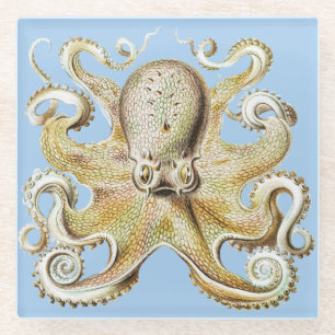 Posavasos De Vidrio Pulpo Vintage de Ernst Haeckel Vida Marina Náutica