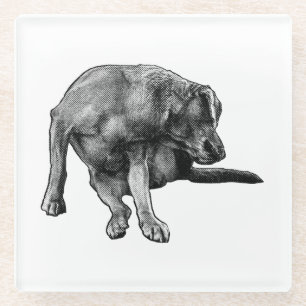 Posavasos De Vidrio Pup de reproducción para tablas de cosecha