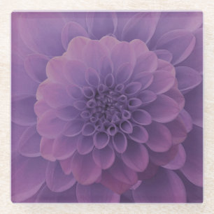 Posavasos De Vidrio Purple Dahlia