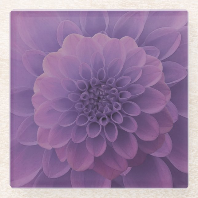 Posavasos De Vidrio Purple Dahlia (Anverso)