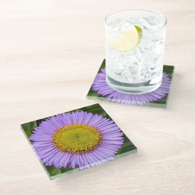 Posavasos De Vidrio Purple Fleabane Daisy Floral (Angular)