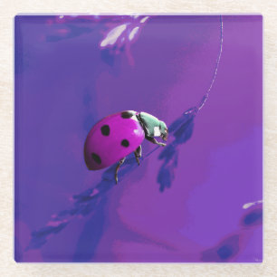 Posavasos De Vidrio Purple Ladybug