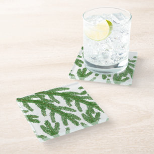 Posavasos De Vidrio Ramas de árbol de abeto verde