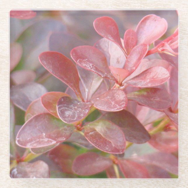 Posavasos De Vidrio Ramas rosadas de bonito (Anverso)