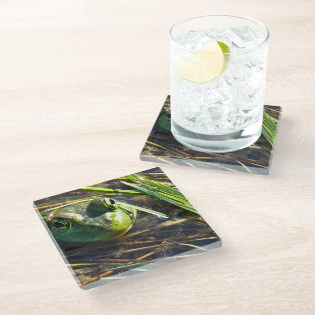 Posavasos De Vidrio Rana toro (Angular)