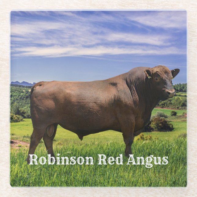 Posavasos De Vidrio Red Angus Bull   (Anverso)