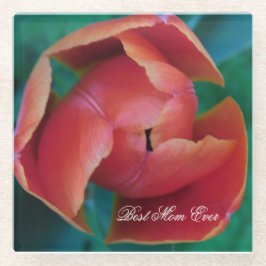 Posavasos De Vidrio Red Tulip Macro Photo Personalized Coaster