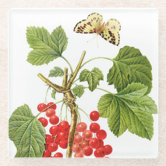 Posavasos De Vidrio Redoute Plant Glass Coaster (Anverso)