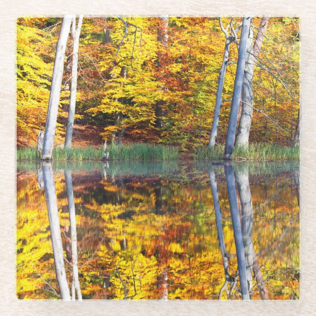 Posavasos De Vidrio Reflexión otoñal (Anverso)