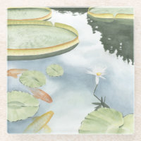 Reflexión sobre el estanque de Koi con peces y lir