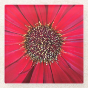 Posavasos De Vidrio Refrigerador de vidrio de flor rojo