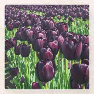 Posavasos De Vidrio Reina de los tulipanes de la noche