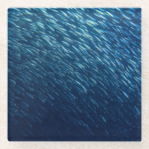 Posavasos De Vidrio Resumen de la escuela de peces subacuáticos