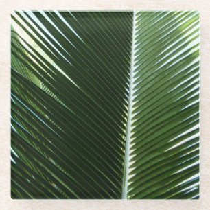 Posavasos De Vidrio Resumen verde tropical de palmeras que se abruman