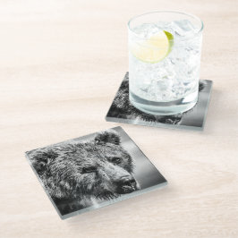 Posavasos De Vidrio Retrato de oso pardo