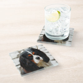 Posavasos De Vidrio Retrato De Un Rey Charles Cavalier Spaniel