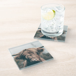 Posavasos De Vidrio retrato de vaca de las tierras altas