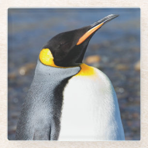 Posavasos De Vidrio Retrato pingüino