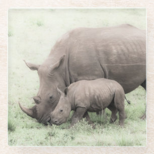 Posavasos De Vidrio Rinoceronte y prácticos de costa blancos del