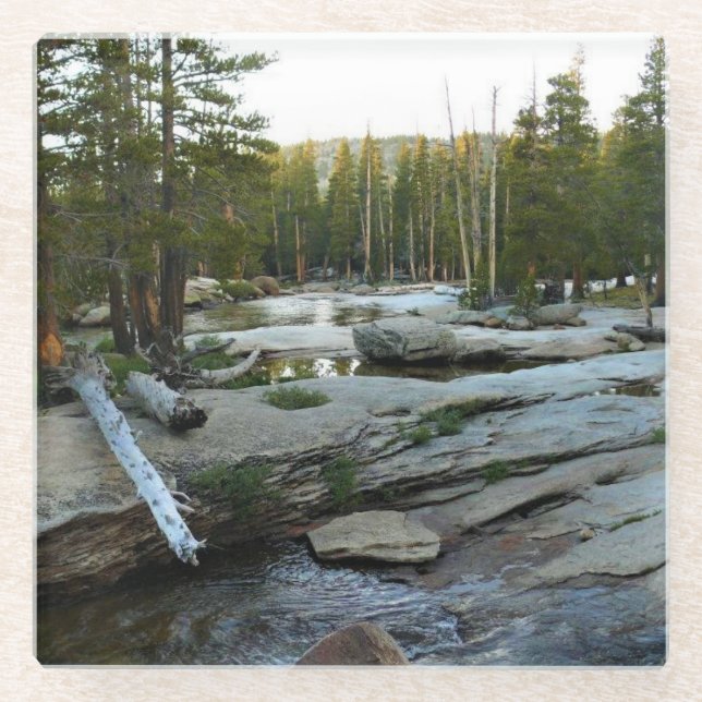 Posavasos De Vidrio Río Tuolumne por Campground, Yosemite, CA (Anverso)