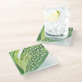 Posavasos De Vidrio Rocío Matutino Hoja Verde