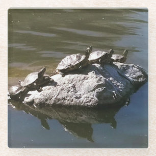 Posavasos De Vidrio Rock de tortuga