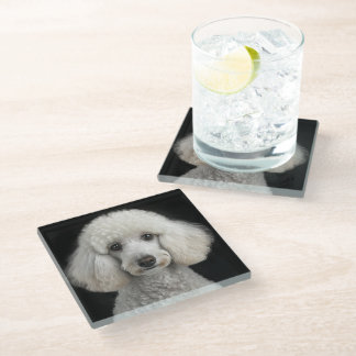 Posavasos De Vidrio Rocky