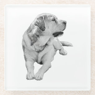 Posavasos De Vidrio Romper sip, amigo firme