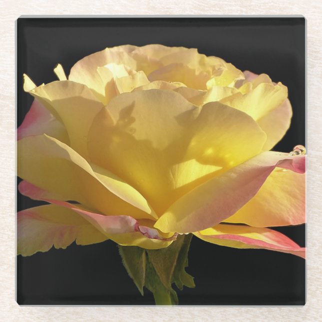 Posavasos De Vidrio Rosa amarilla (Anverso)