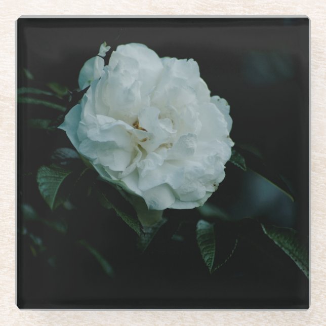 Posavasos De Vidrio Rosa blanca (Anverso)