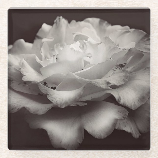 Posavasos De Vidrio Rosa blanca (Anverso)