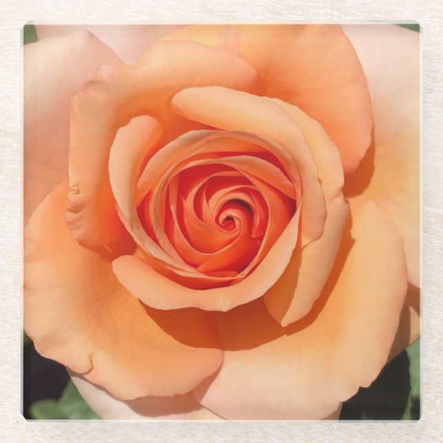 Posavasos De Vidrio Rosa de color (Anverso)