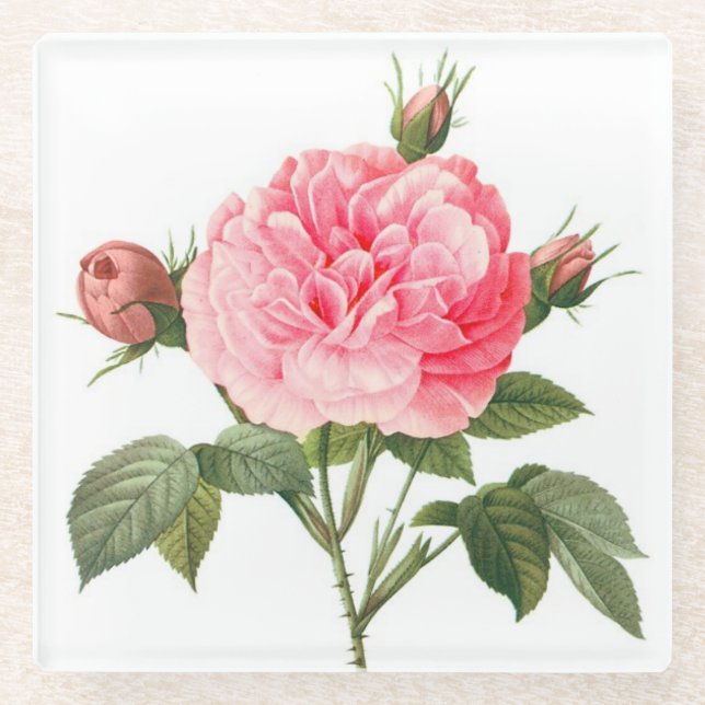 Posavasos De Vidrio Rosa Redoute Rosado Flores Vidrio (Anverso)