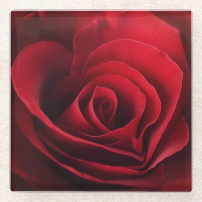 Posavasos De Vidrio Rosa rojo de la tarjeta del día de San Valentín (Anverso)