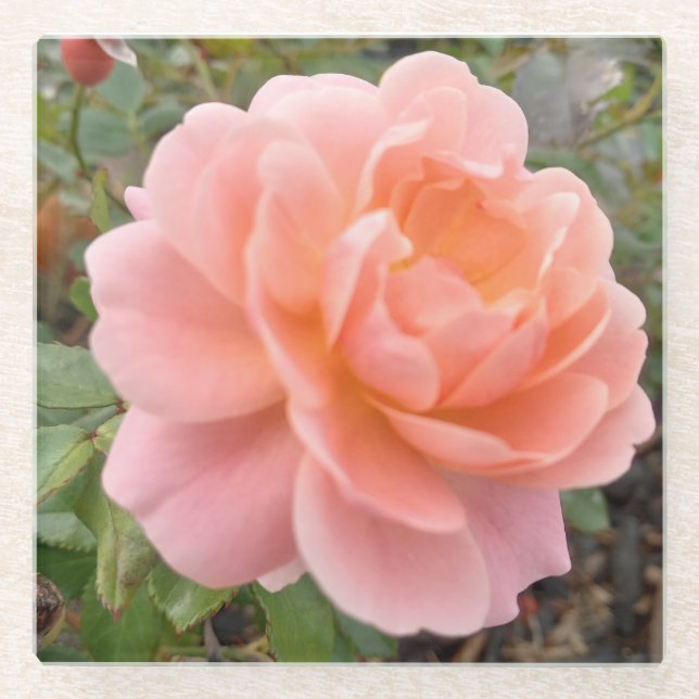 Posavasos De Vidrio Rosa rosa Coster (Anverso)