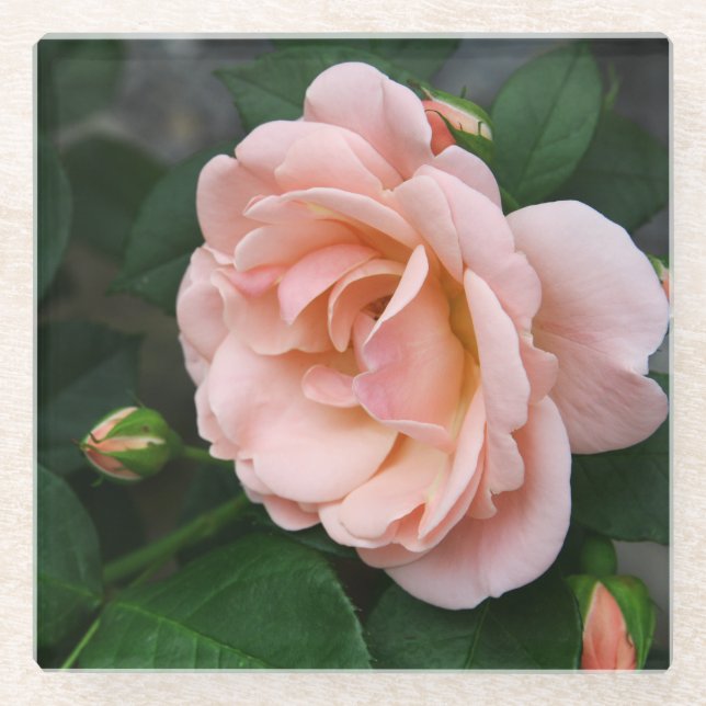 Posavasos De Vidrio Rosa Rubor Floral Glass Coaster (Anverso)