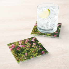 Posavasos De Vidrio Rosas rosadas en flor 