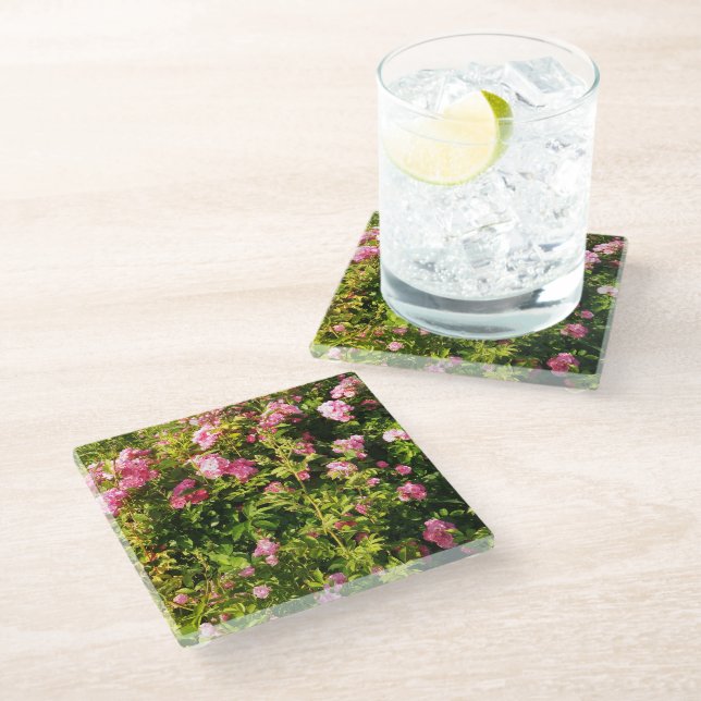 Posavasos De Vidrio Rosas rosadas en flor  (Angular)
