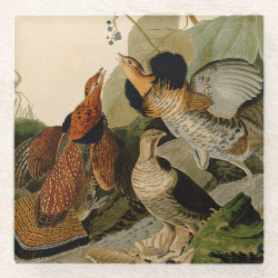 Posavasos De Vidrio Ruffed Grouse Audubon Game Bird