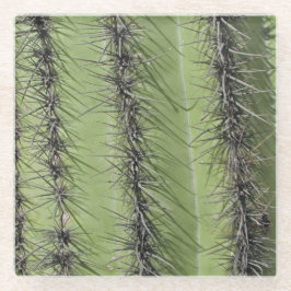 Posavasos De Vidrio Saguaro Cactus Needles Foto Naturaleza Suroeste
