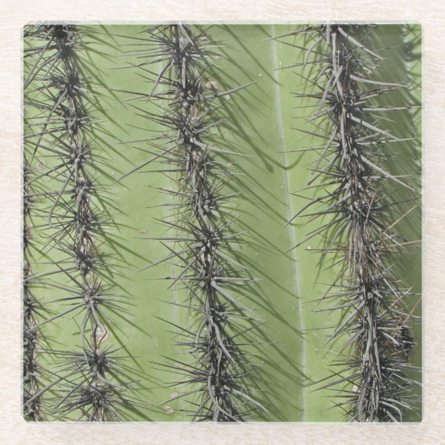 Posavasos De Vidrio Saguaro Cactus Needles Foto Naturaleza Suroeste (Anverso)