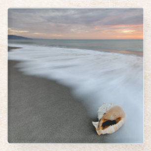 Posavasos De Vidrio Salida del sol en la playa y Shell