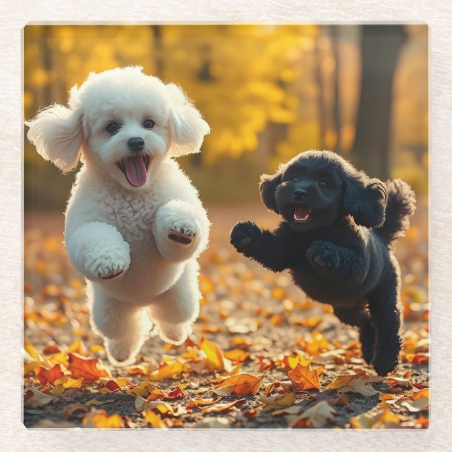 Posavasos De Vidrio Saltando cachorros de caniche (Anverso)