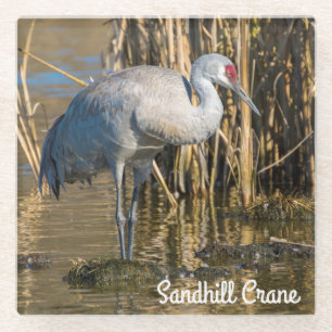 Posavasos De Vidrio Sandhill Crane
