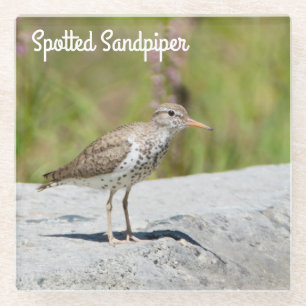 Posavasos De Vidrio Sandpiper con manchas
