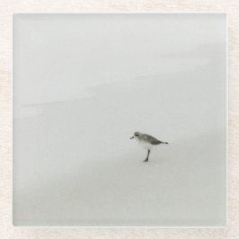 Posavasos De Vidrio Sandpiper costero en la playa