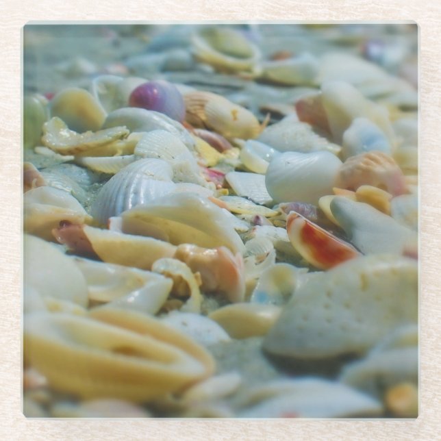 Posavasos De Vidrio Sanibel Seashells Glass Coaster (Anverso)