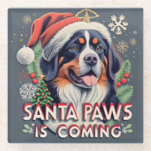 Posavasos De Vidrio Santa Paws Viene Con Navidades Perros De Berna