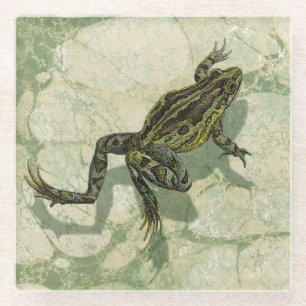 Posavasos De Vidrio Sapo Swinning en el agua