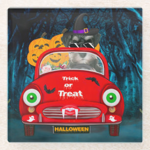 Posavasos De Vidrio schnauzer Dog Drin Car Scary Halloween
